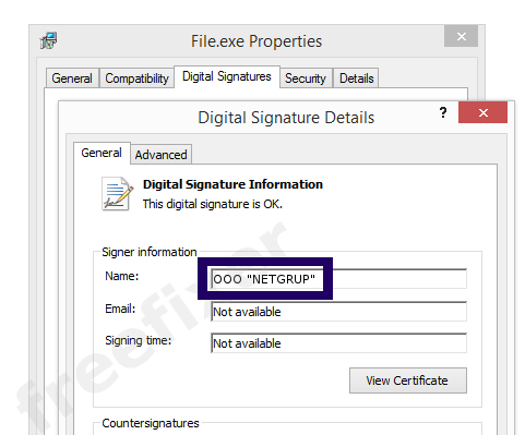 Screenshot of the OOO "NETGRUP" certificate